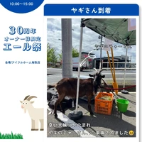 画像241