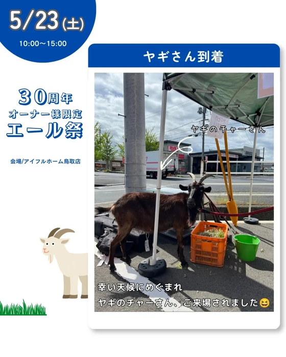 画像241