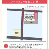 画像247